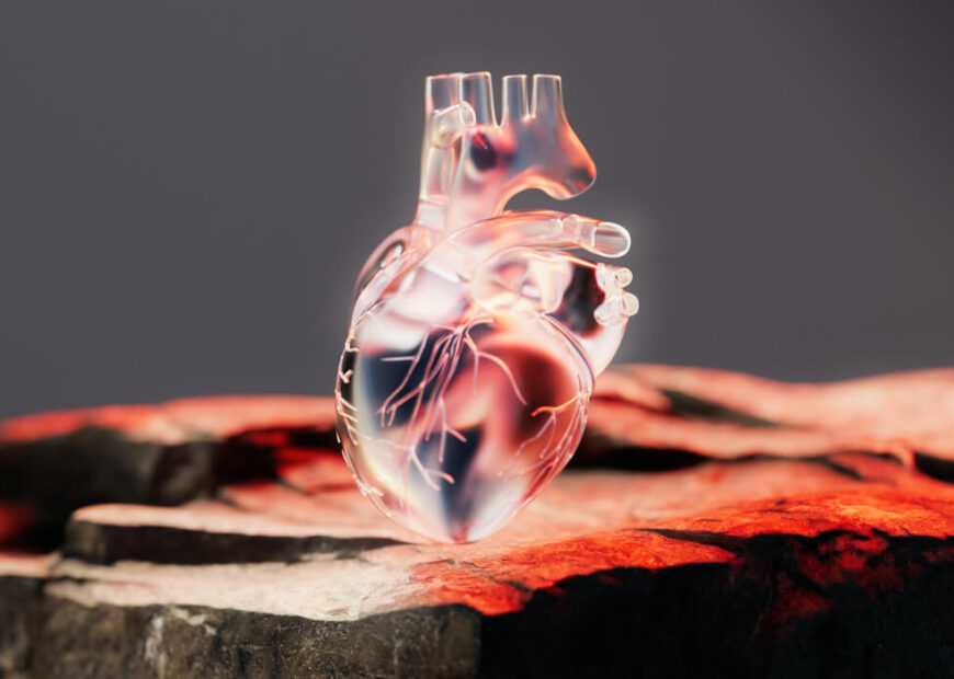 Desarrollo de API Rest